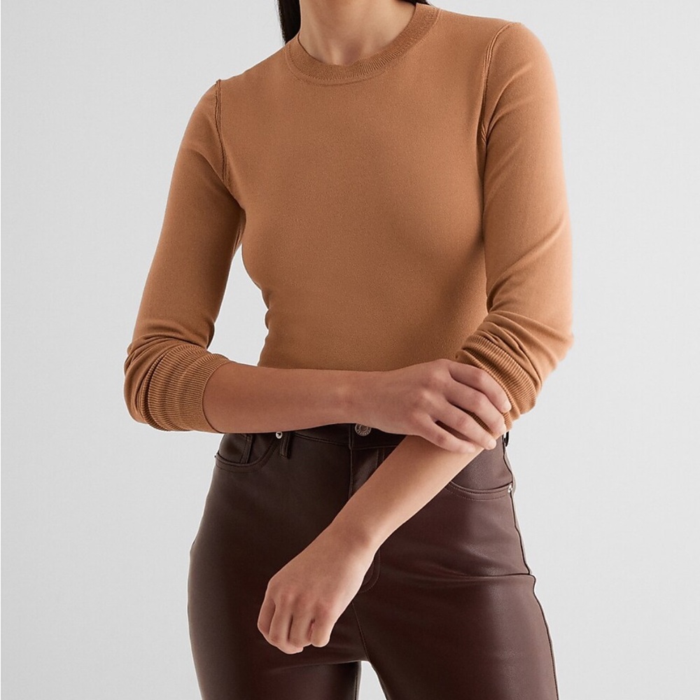 NWT EXPRESS Silky Soft Fitted Crew Neck Sweater